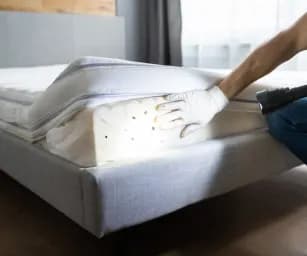 Bed Bugs Management