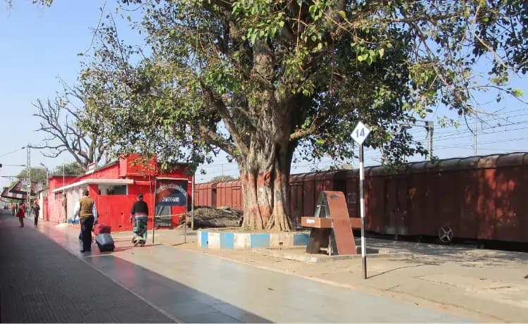 Koderma