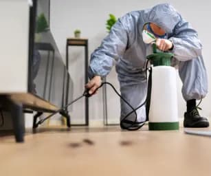 Pre-Construction Anti-Termite Treatment