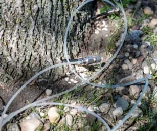 Wood Borer Treatment
