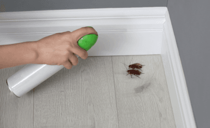 Cockroach Management